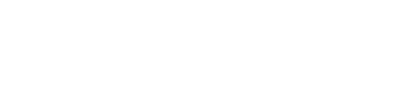 TSP