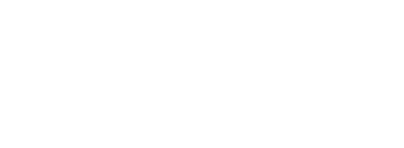 MS Plus